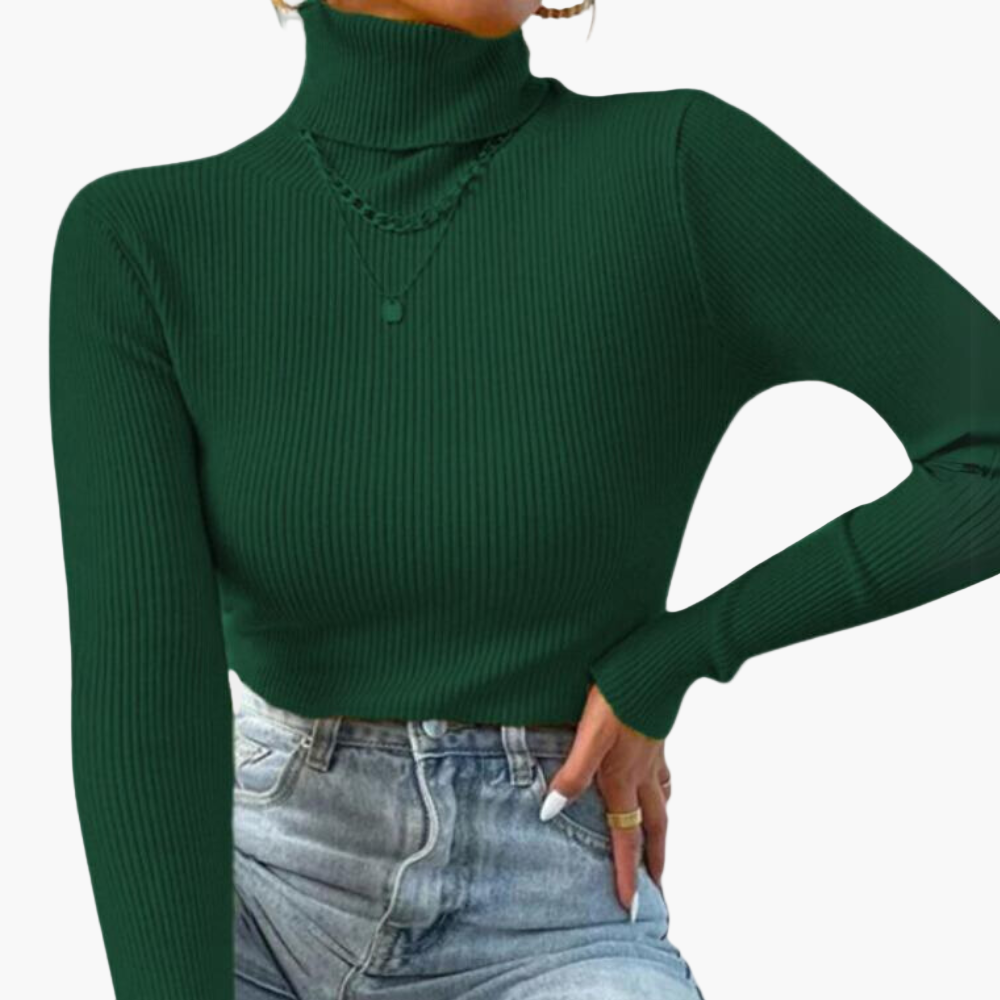 Women's Turtleneck Knitted Rib Pattern Elegant Stylish Casual and Business